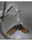 Comme-un-papillon__DSC24050001