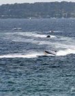 Offshore La Coudoulière-11.jpg