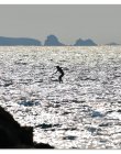 stand-up-paddle-surfing_dsc7288