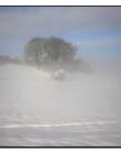Paysage-de-neige-Culin__DSC23050001
