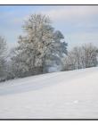 Paysage-de-neige-Culin__DSC23180002