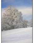 Paysage-de-neige-Culin__DSC23220003