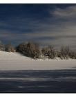 Paysage-de-neige-Culin__DSC24550004