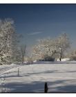 Paysage-de-neige-Culin__DSC24650005