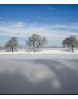 Paysage-de-neige-Culin__DSC24860006
