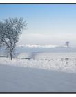 Paysage-de-neige-Culin__DSC24920008