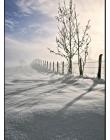 Paysage-de-neige-Culin__DSC24950009