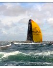 volvo_race_dsc0102